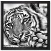 Aktion 😍 Tiger Leinwandbild 40x40 Cm Im Bilderahmen Quadratisch / Wandbild / Schattenfugenrahmen / Kein Poster 🔔