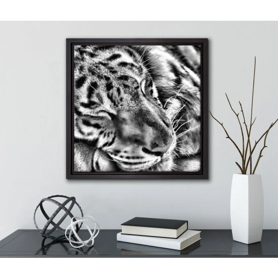 Am billigsten ✔️ Tiger Schläft Leinwandbild 70x70 Cm Im Bilderahmen Quadratisch / Wandbild / Schattenfugenrahmen / Kein Poster 🎉 2 Am billigsten ✔️ Tiger Schläft Leinwandbild 70x70 Cm Im Bilderahmen Quadratisch / Wandbild / Schattenfugenrahmen / Kein Poster 🎉 – Bild 2