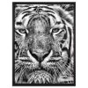 Angebote 👍 Tiger Im Wasser Leinwandbild 80x60 Cm Im Bilderahmen / Wandbild / Schattenfugenrahmen / Kein Poster ✔️