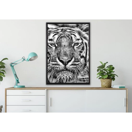 Angebote 👍 Tiger Im Wasser Leinwandbild 80x60 Cm Im Bilderahmen / Wandbild / Schattenfugenrahmen / Kein Poster ✔️ 2 Angebote 👍 Tiger Im Wasser Leinwandbild 80x60 Cm Im Bilderahmen / Wandbild / Schattenfugenrahmen / Kein Poster ✔️ – Bild 2