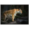 Coupon 🥰 Tiger Leinwandbild 100x70 Cm Im Bilderahmen | Wandbild | Schattenfugenrahmen | Kein Poster 🤩