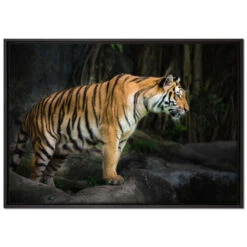Coupon 🥰 Tiger Leinwandbild 100x70 Cm Im Bilderahmen | Wandbild | Schattenfugenrahmen | Kein Poster 🤩